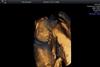 3d_visage